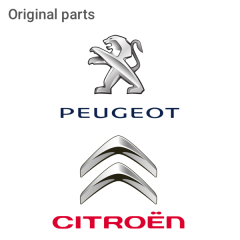 Peugeot / Citroen 1642333080